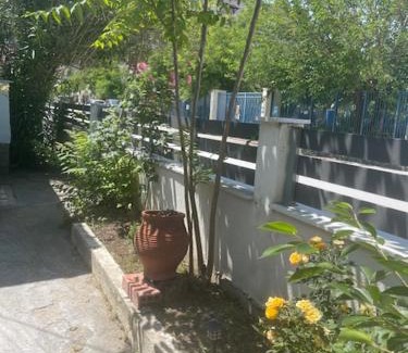 Agia Triada Casa | Alas House