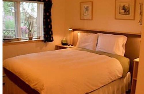 Eagle River Cama Y Desayuno | Alaska Chalet Bed & Breakfast