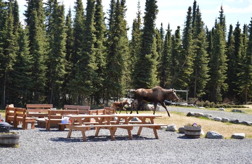 Sterling Cabina | Alaska Red Fish Lodge Furnished Cabin #4