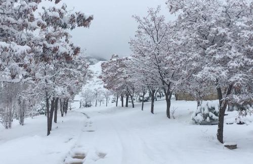 Andacollo Chalet De Esquí | Alauri Ñire