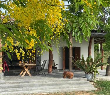 Kirinda Cama Y Desayuno | Alay Lake - Yala