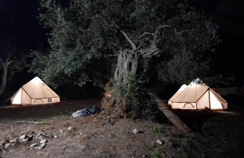 Lukove Otro | Albanian Glamping Bunec