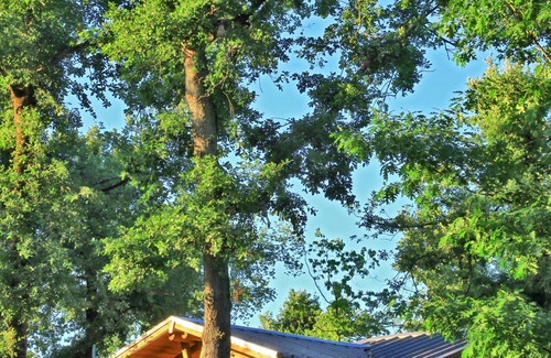 Albi Alquiler De RV | Albirondack Park Camping Lodge and Spa