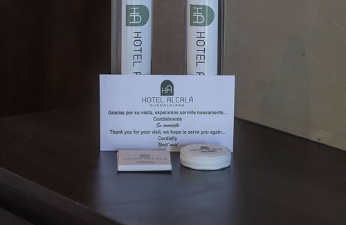 Zona Expo Hotel | Alcalá Expo
