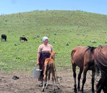 Osh Region Otro | Aldayar Ata yurt camp, Ozgon