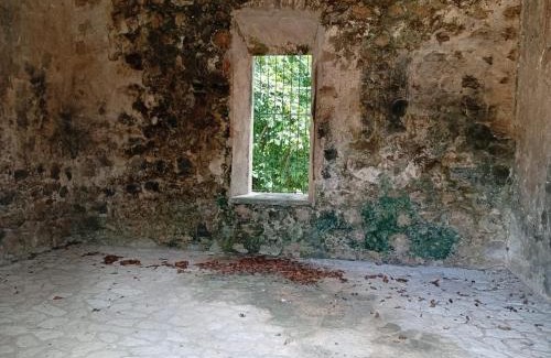 Península de Yucatán Complejo | Aldea Maya Tizimín