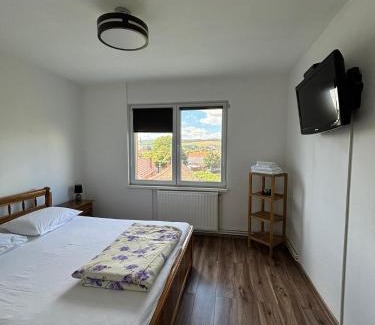 Tirgu Mures Apartamento | ALE TEO APARTAMENT
