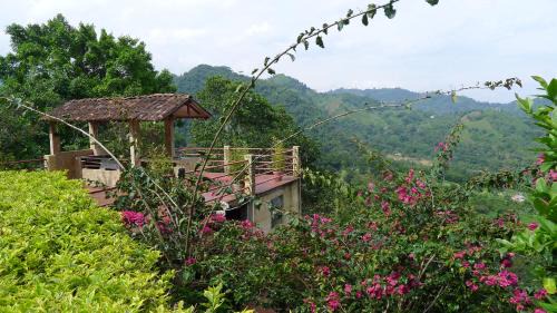 La Vega Casa | Alejandría, reserva natural y las 7 cascadas