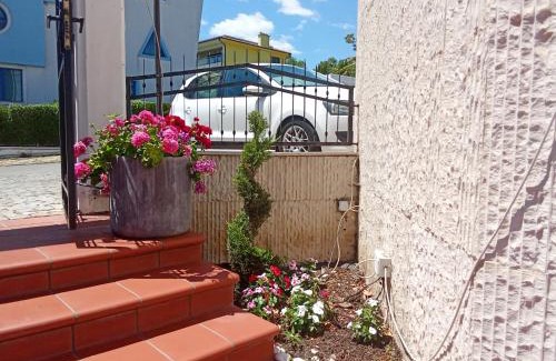 Primorski Hotel | Alekta Hotel - Free Parking