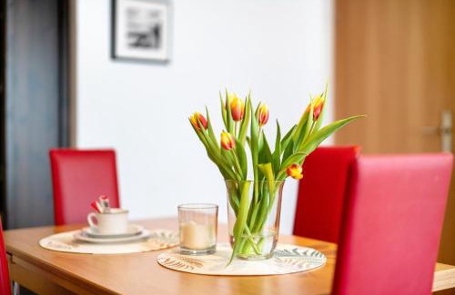 Schonach im Schwarzwald Apartamento | Alexander Feiss