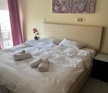 Leptokaria Apartamento | Alexandros Hotel