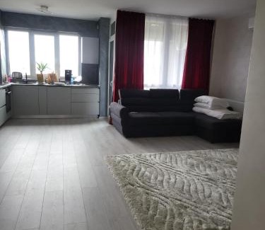 Tirgu Mures Apartamento | Alexia apartment