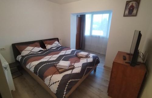 Vatra Dornei Apartamento | Alexia Cozy Retreat