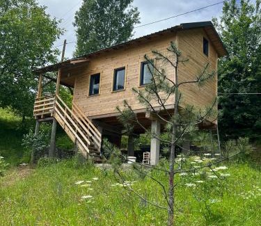 Macka Casa | Ali's House 61