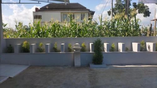 Mandiraja Casa | Alia Corner Homestay