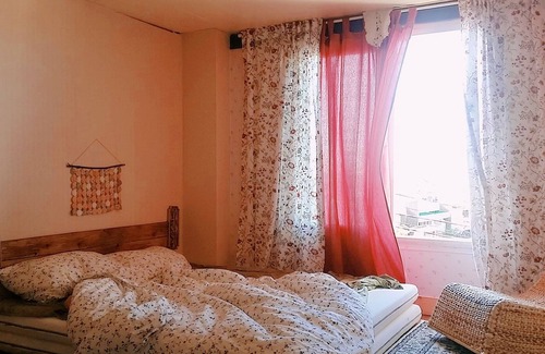Aewol Casa | Alice In Urban