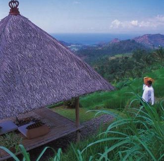 Melayang Complejo | Alila Ubud