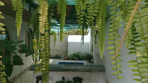 La Fortuna Apartamento | Alinas House