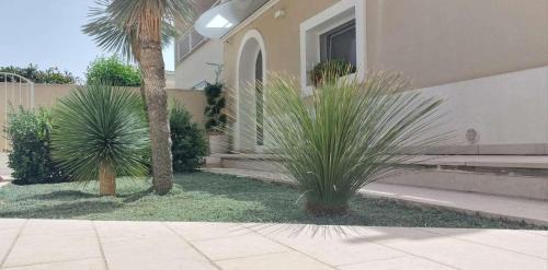 Porto Cesareo Apartamento | Alisei casa vacanze