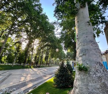 Samarkand Hotel | Aliz Boulevard Hotel