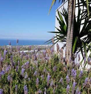 Xiro Chorio Apartamento | Alkyoni by KRISSES