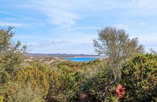 Canyon Lake Casa | All Decked Out