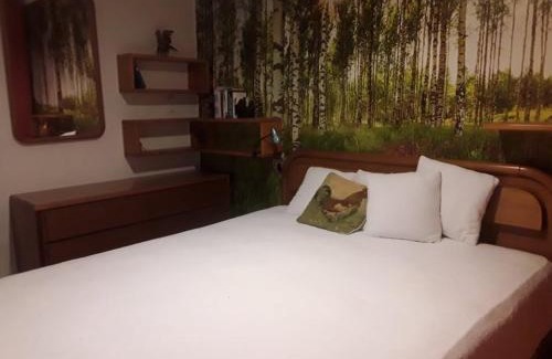 Meldola Cama Y Desayuno | All'Ovile