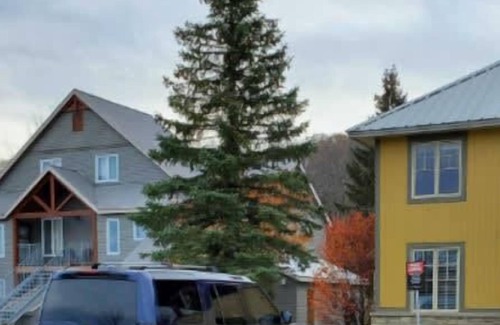 Calabogie Condominio | All Season Ski in/Out Chalets at Calabogie Peaks