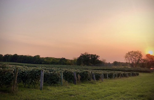 Lawton Cabaña | All Sports Lake Private Home Wine Country Pure Michigan Close to Wineries Casino