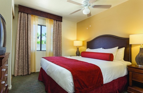 Lake Havasu City Complejo | ¡Todas las comodidades de casa!