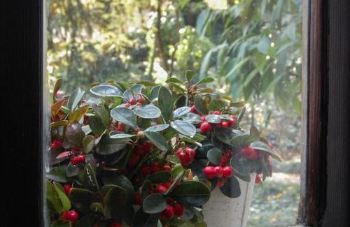 Asola Cama Y Desayuno | Alle Fronde