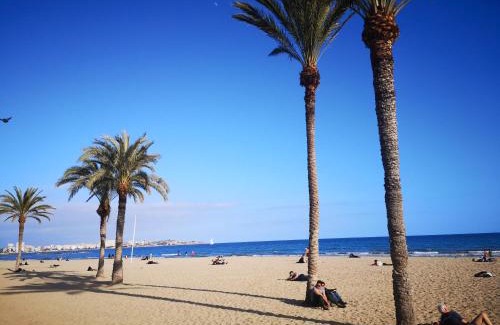 Quesada Apartamento | Allegra Suites Costa Blanca