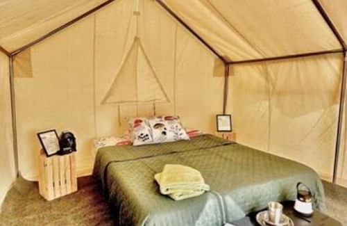Spring Hill Alquiler De RV | Allenbrooke Farms Glamping Tent 2