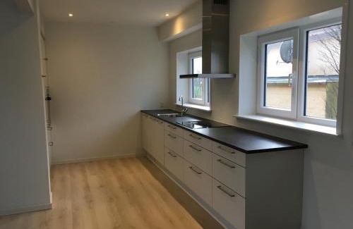 Tjaereborg Apartamento | Allerupvej st tv 007