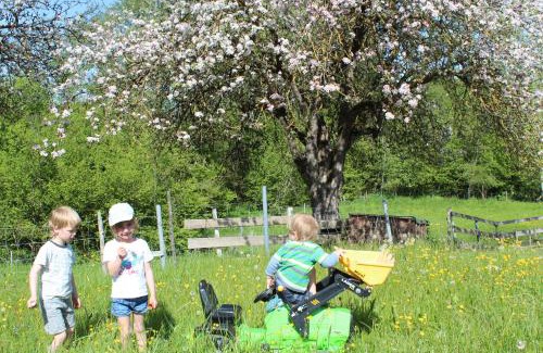 Argenbuhl Apartamento | Allgäu Ferienhof Schönberger