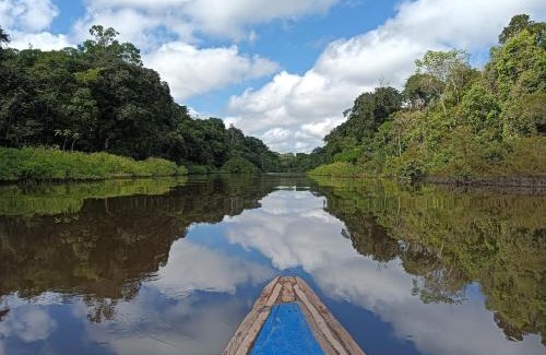 Saquena Cabina | Allpayacu Adventures Lodge - All Inclusive