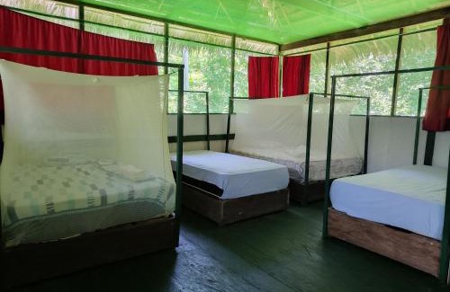 Saquena Cabina | Allpayacu Adventures Lodge - All Inclusive