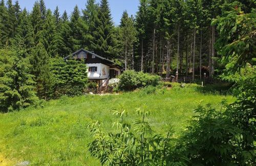 Bad Sankt Leonhard im Lavanttal Casa | Alm`Ferienhaus Gaisegg