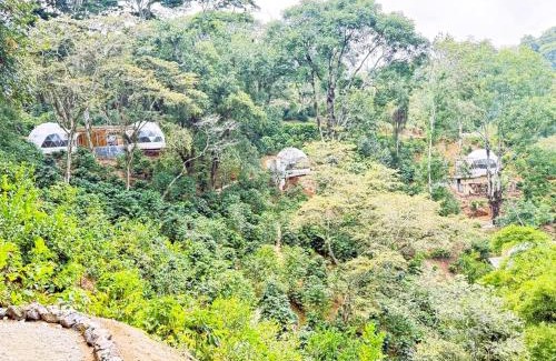 Coatepec Otro | Alma Glamping