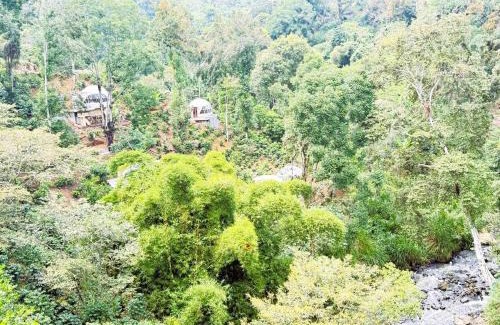 Coatepec Otro | Alma Glamping