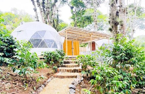 Coatepec Otro | Alma Glamping