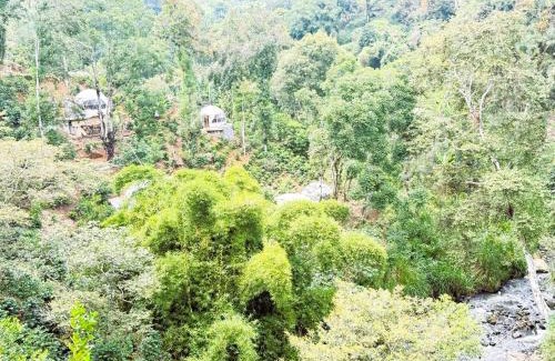 Coatepec Otro | Alma Glamping