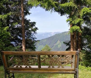 Greifenburg Casa | Almhütte Enzian