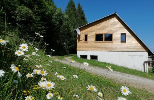 Sankt Wolfgang-Kienberg Chalet De Esquí | Almhütte Grosserhütte