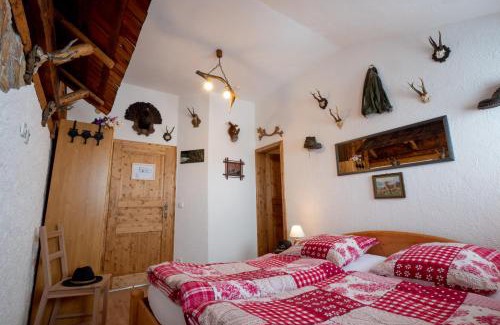 Ebensee Casa | Almhaus Dachsteinblick am Feuerkogel