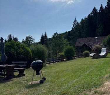 Schwanberg Apartamento | Almhaus Veitlmichl