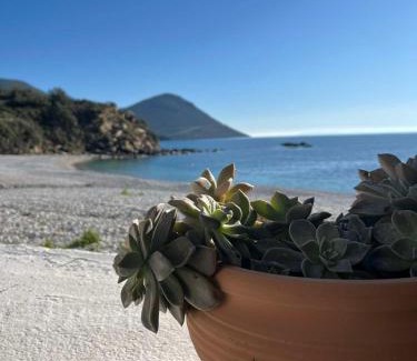 East Mani Casa | Almia