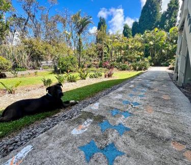 Volcano Casa | Aloha Junction Bed and Breakfast -Minutes away from Hawaii Volcanoes National Park