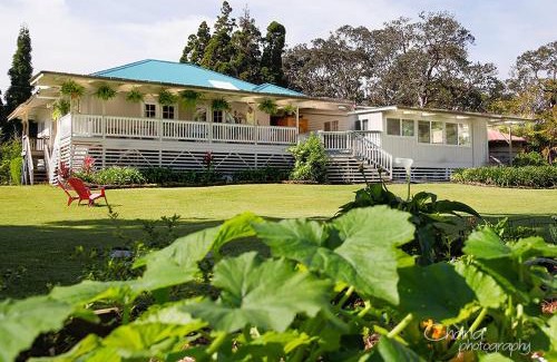 Volcano Casa | Aloha Junction Bed and Breakfast -Minutes away from Hawaii Volcanoes National Park