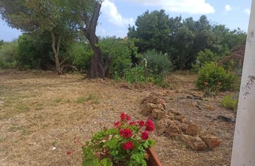 Quatrim do Sul Casa | Alojamento Casa Maria